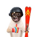Puppy in helmet holding skiing and showing thumbs up. isolated on white background