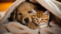 a puppy hugs a kitten. Pets sleep together. Generative AI