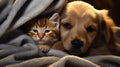 a puppy hugs a kitten. Pets sleep together. Generative AI