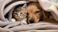 a puppy hugs a kitten. Pets sleep together. Generative AI