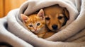 a puppy hugs a kitten. Pets sleep together. Generative AI