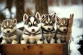 Puppy husky sled dog illustration generative ai