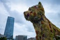 Puppy, Jeff Koons, in front of the Guggenheim Museum. Bilbao, Basque Country, Spain