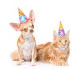 Puppy and kitten in birthday hats looking at camera together. isolated Royalty Free Stock Photo