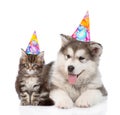 Puppy and kitten in birthday hats looking at camera together. isolated on white Royalty Free Stock Photo