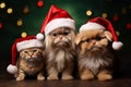 puppy and kitten - Christmas decoration - dressed as santa clause - green background