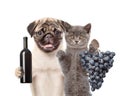 Puppy and kitten holding a bottle of red wine and bunch of grapes. Isolated on white background