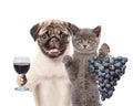 Puppy and kitten holding a bunch of grapes and wineglass with red wine. isolated on white background