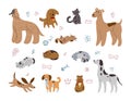 Puppy or kitten portraits. Cute dog and cat. Domestic animals. Funny pets sketch. Different adorable doodle characters