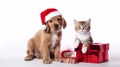 puppy and kitten in red christmas hats sitting with gift box. ai generative Royalty Free Stock Photo
