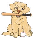 Puppy and baseball Royalty Free Stock Photo