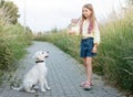Puppy labrador retriever and little girl Royalty Free Stock Photo