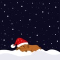 The puppy lies on the snow. Puppy in red santa hat. It snows at christmas night.