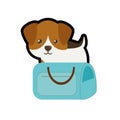 puppy little portrait lovely blue pet carrier bag travel
