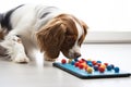 puppy looking at a dog puzzle toy for mental stimulation