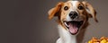 Puppy love: Delighted smiling dog happy with food meal. Generative AI Royalty Free Stock Photo