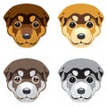 Puppy' muzzles on white background