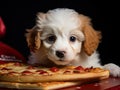 Puppy with pizza hat delivering mini pizza