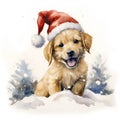 puppy playing with a Santa hat in the snow Royalty Free Stock Photo