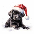 puppy playing with a Santa hat in the snow