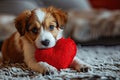 Puppy with plush sof red heart Lover Valentine puppy dog with a red heart Royalty Free Stock Photo