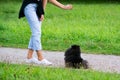 Puppy Pomeranian Spitz listens to the owner and performs functions on the command. Royalty Free Stock Photo