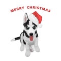 Christmas husky puppy Royalty Free Stock Photo