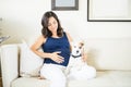 Puppy Protecting Pregnant Woman Sitting On Sofa Royalty Free Stock Photo