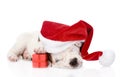 Puppy with red gift box and red santa hat. isolated on white Royalty Free Stock Photo