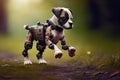 puppy with robotic leg, running and playing in the park