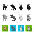 Puppy, rodent, rabbit and other animal species.Animals set collection icons in black, flat, monochrome style vector