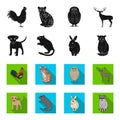 Puppy, rodent, rabbit and other animal species.Animals set collection icons in black,flet style vector symbol stock