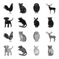 Puppy, rodent, rabbit and other animal species.Animals set collection icons in black,monochrome style vector symbol