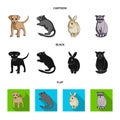 Puppy, rodent, rabbit and other animal species.Animals set collection icons in cartoon,black,flat style vector symbol