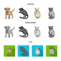 Puppy, rodent, rabbit and other animal species.Animals set collection icons in cartoon,flat,monochrome style vector