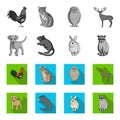 Puppy, rodent, rabbit and other animal species.Animals set collection icons in monochrome,flat style vector symbol stock