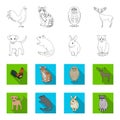 Puppy, rodent, rabbit and other animal species.Animals set collection icons in outline,flat style vector symbol stock