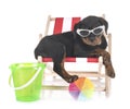 Puppy rottweiler in studio Royalty Free Stock Photo