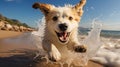 Puppy Running on Beach - AI Generated