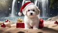 puppy in santa hat highly intricately detailed photograph of Cute sitting Bichon Havanese puppy dog in Christmas Royalty Free Stock Photo