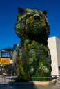 Puppy sculpture covered with flowers by the artist Jeff Koons