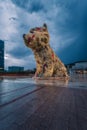 Puppy sculpture before Guggenheim Museum at night, Bilbao, Basque Country, Spain