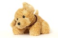 Puppy toy Royalty Free Stock Photo