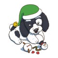 Puppy Wearing a New Year Elf Hat Plaing with Snowman