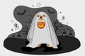 A puppy with a white cloth covering his head and body and a Halloween pumpkin hanging from his mouth is celebrating Halloween