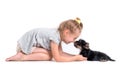 Puppy york and little girl Royalty Free Stock Photo