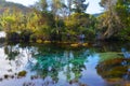 The Pupu Spring Te Waikoropupu springs, New Zealand Royalty Free Stock Photo