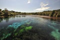 Pupu Springs, New Zealand Royalty Free Stock Photo