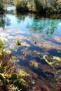 Pupu springs New Zealand