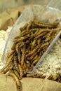Mealworms, pur proteine in grain bag